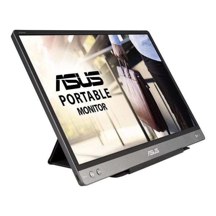 Монітор портативний Asus 14