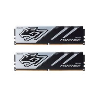 Оперативна пам`ять Apacer 32 GB (2x16GB) DDR5 6000 MHz Panther (AH5U32G60C6227BAA-2)